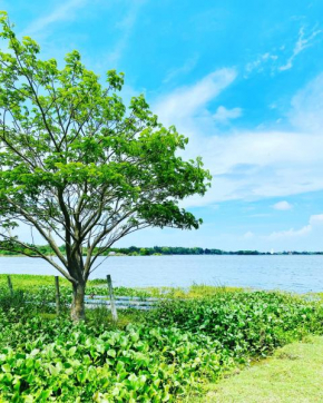 Lake View Cottage